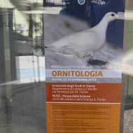 XVII Convegno Italiano di Ornitologia, foto Paolo Deimichei, archivio Università di Trento
