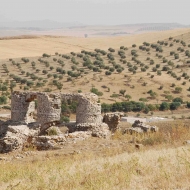 Ain Meliti (Tunisia), chiesa bizantina a pianta centrale