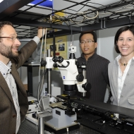 Laboratorio di Nanoscienze. Nella foto: Lorenzo Pavesi, Ryan Yuan Zhi-Zhang, Silvia Larcheri 